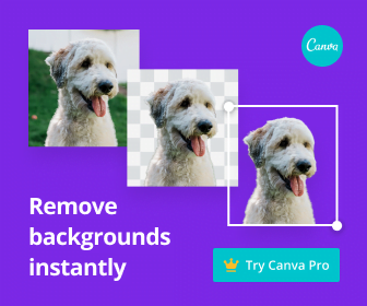 Canva background removal process